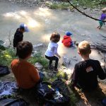 Forest Schools